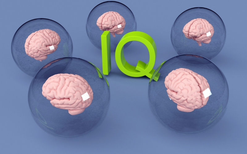 IQ là thước đo khả năng tư duy logic