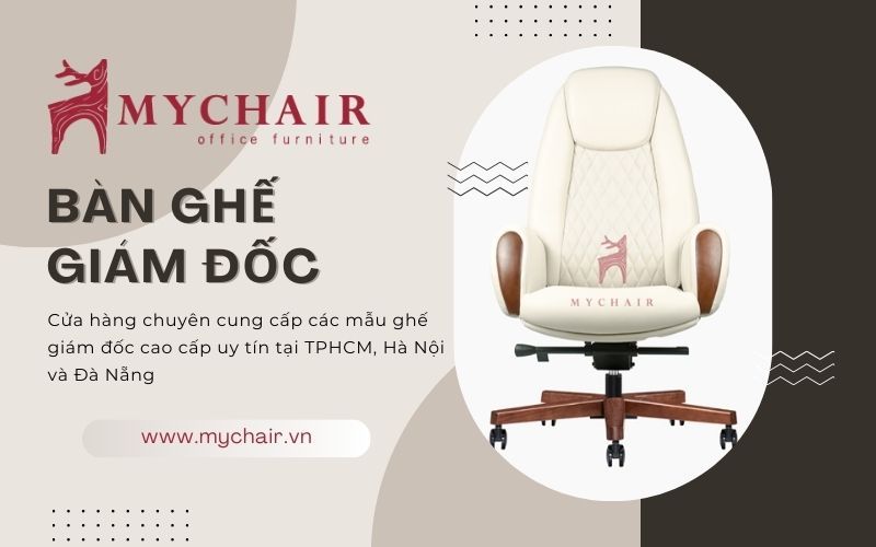 Đơn vị cung cấp ghế văn phòng cao cấp Mychair.vn