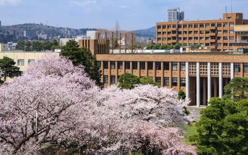 tổng quan về chi phí du học nhật bản