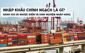 nhập khẩu chính ngạch